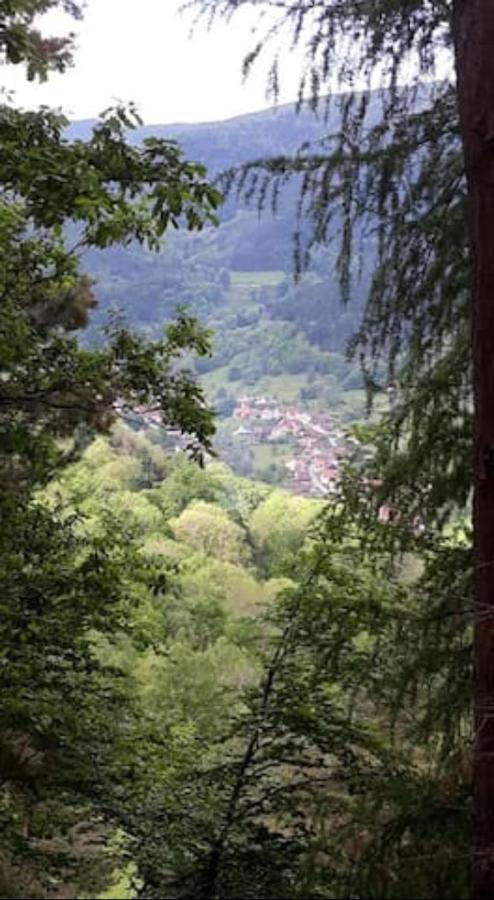 Les Locations de Stéphanie Les Hautes Vosges Sondernach Extérieur photo
